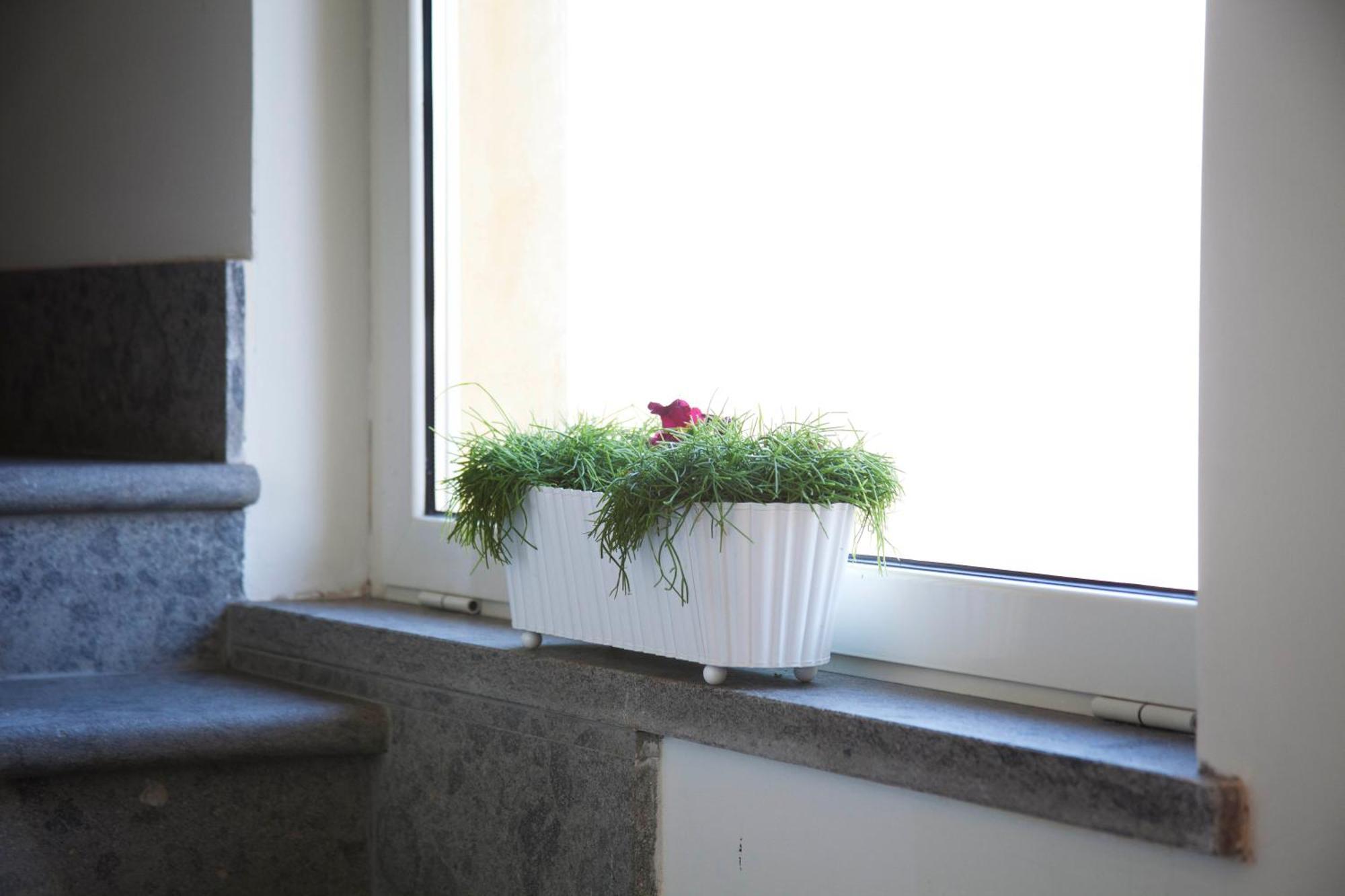 Albergo Da Benedetta ヴェトラッラ エクステリア 写真